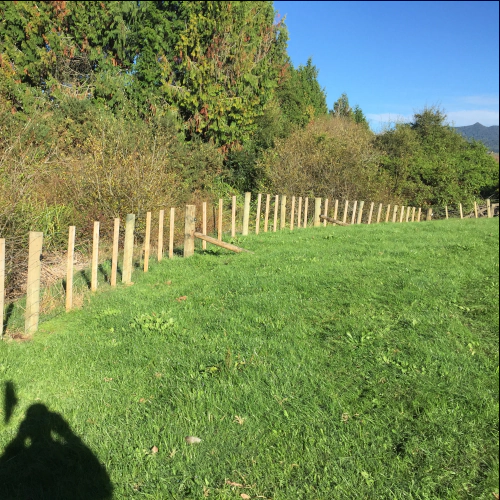 Batten Fence